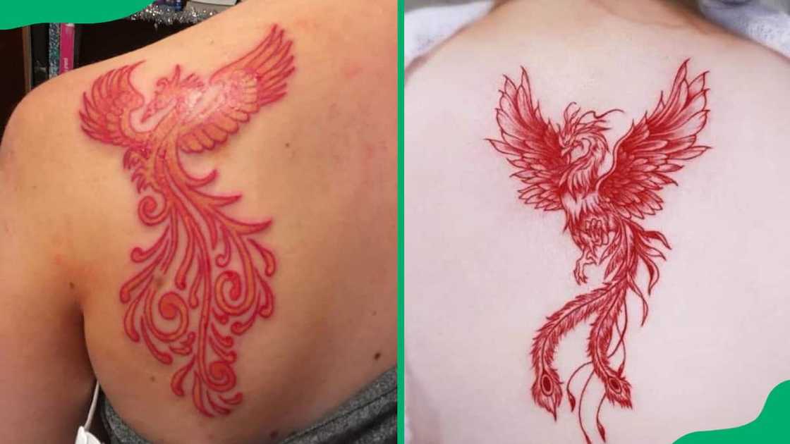Red phoenix tattoos Red phoenix tattoos
