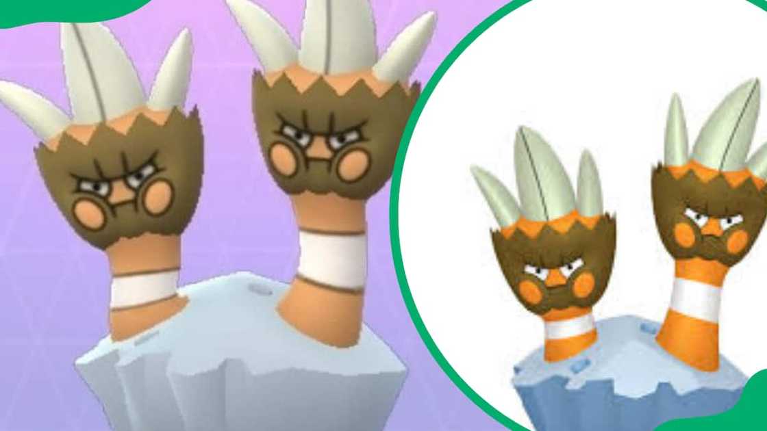 Binacle Pokemon Binacle Pokemon