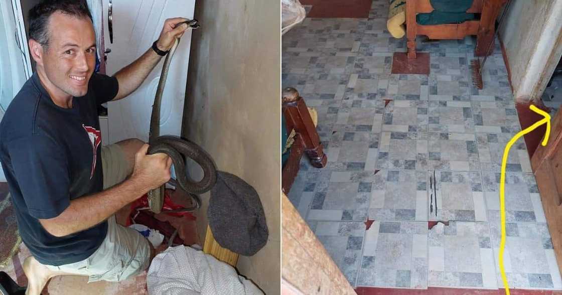 Nick Evans has left family feeling relaxed and happy after he found the snake that had crawled and hidden itself in the house Nick Evans has left family feeling relaxed and happy after he found the snake that had crawled and hidden itself in the house