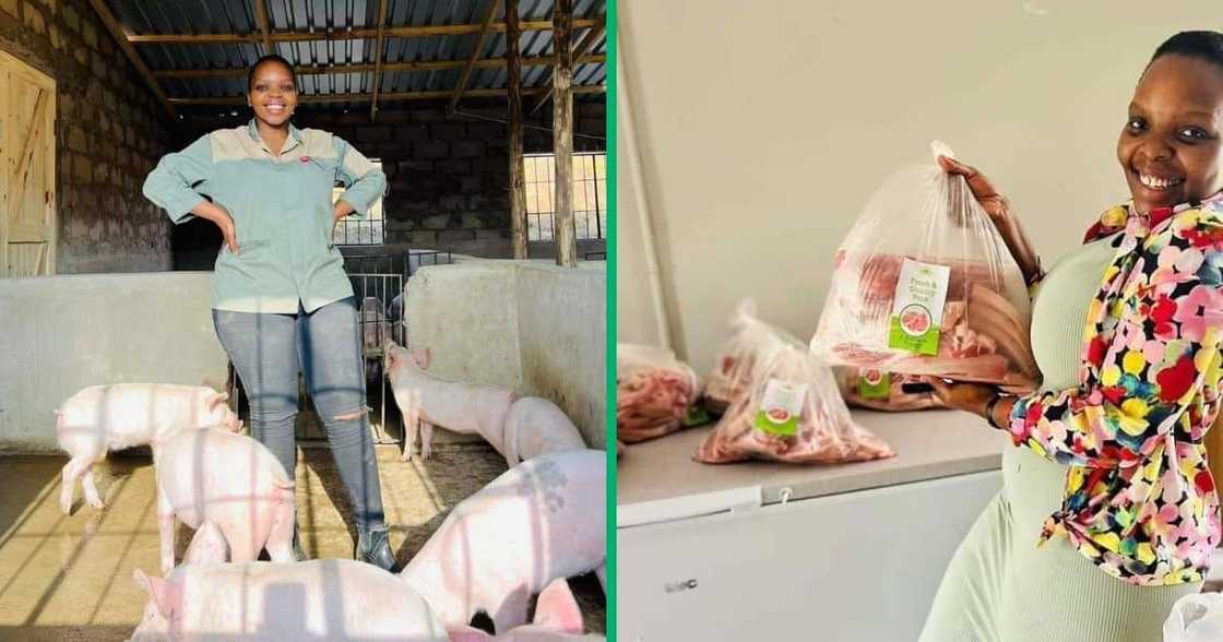 KZN pig farmer