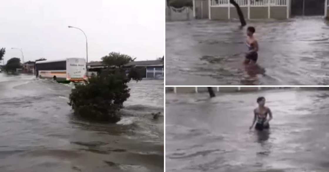 Cape Town, flood, swim, video