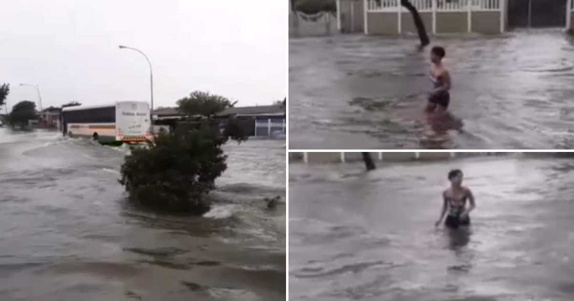 Cape Town, flood, swim, video Cape Town, flood, swim, video