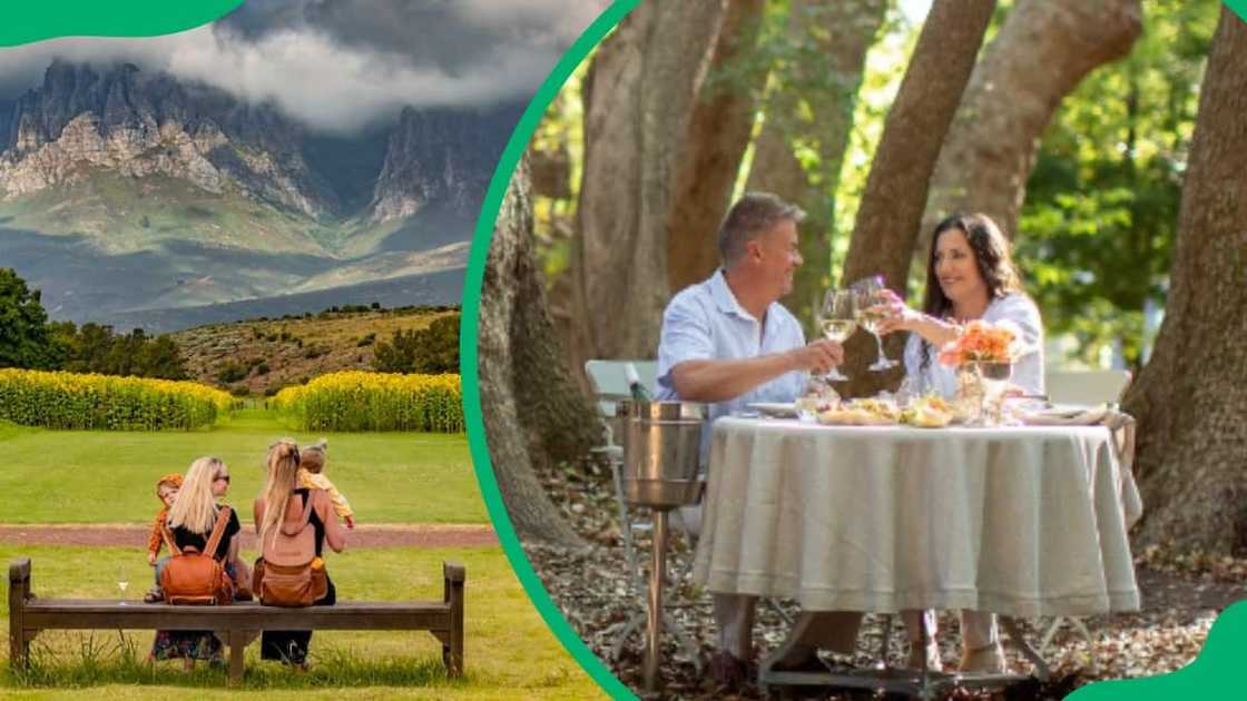 wine farms near Cape Town wine farms near Cape Town