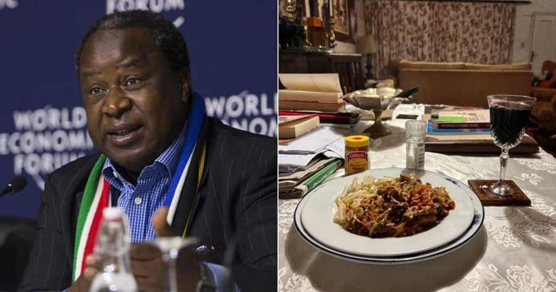 food, dish, tito, mboweni, food, south africa, finance, plate, red wine, chicken, fish food, dish, tito, mboweni, food, south africa, finance, plate, red wine, chicken, fish