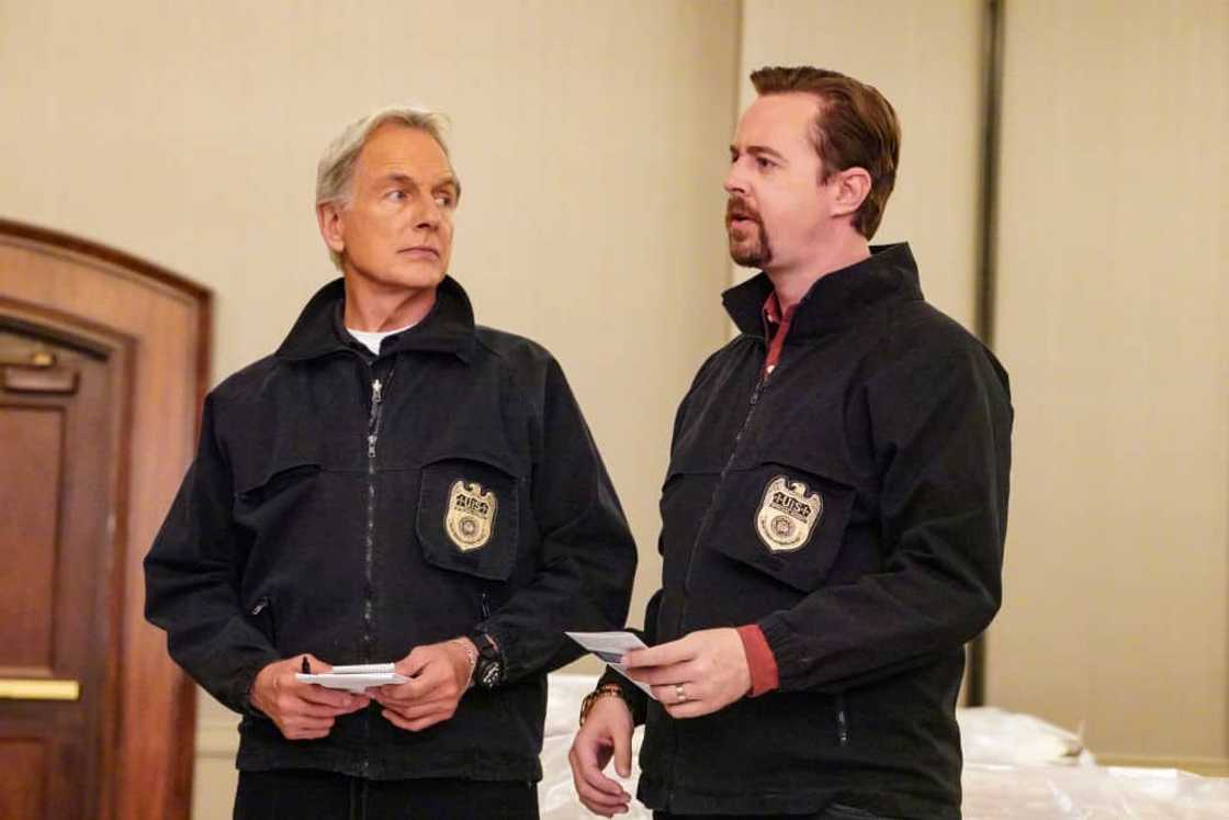 Mark Harmon and Sean Murray Mark Harmon and Sean Murray