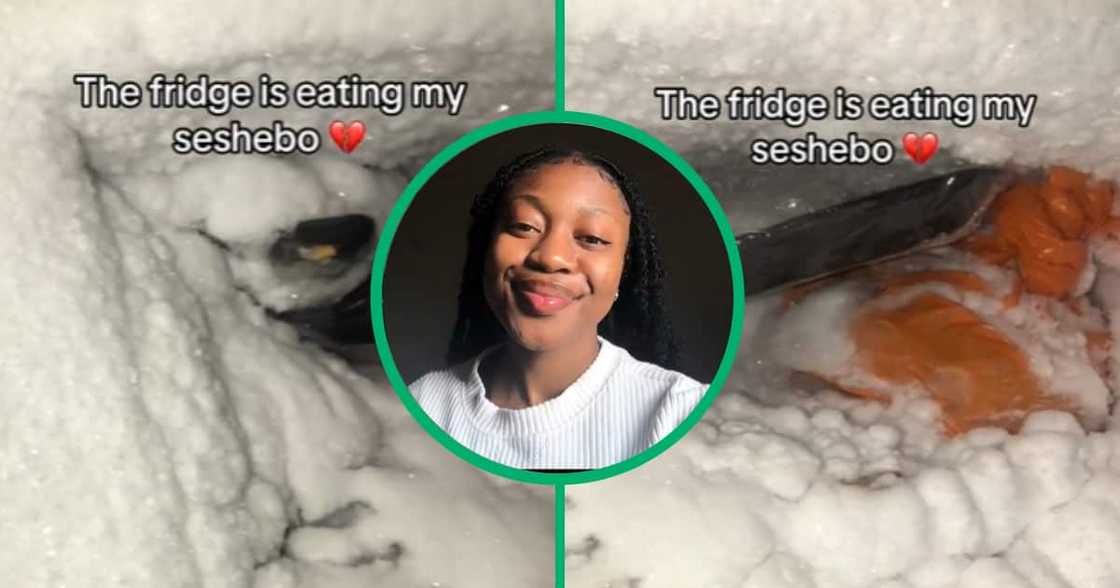 TikTok video of Pretoria woman's freezer with ice build up