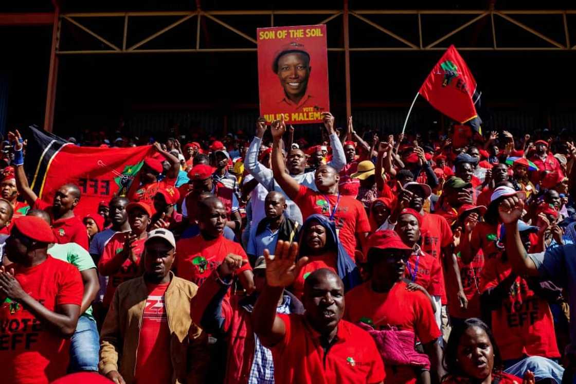 election results, EFF, local government elections, IEC