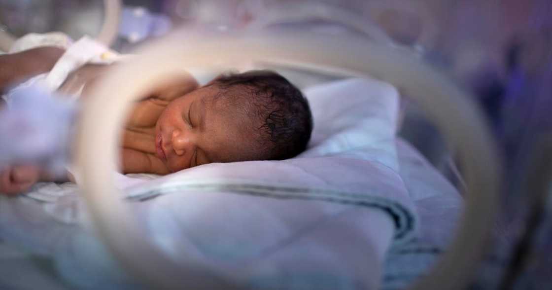 New born baby, births, statistics New born baby, births, statistics