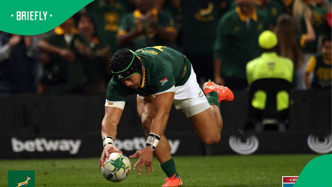 Springboks, Cheslin Kolbe, South Africa, Rugby Championship