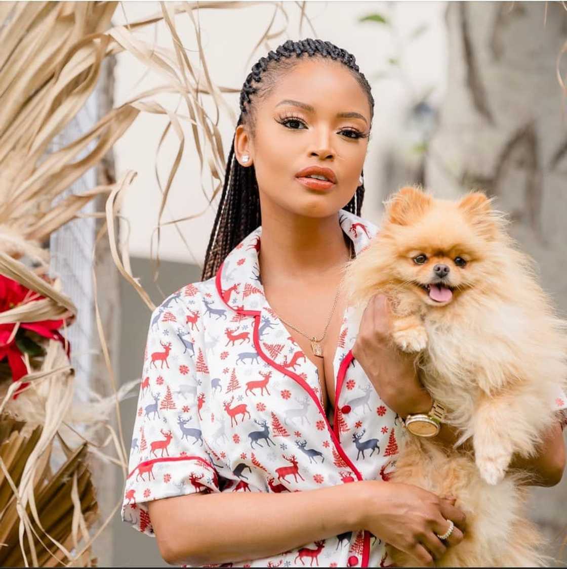 'Celebrity Game Night' presenter Ayanda thabethe and her Pomeranian pup, Saint Rich on Christmas Day.