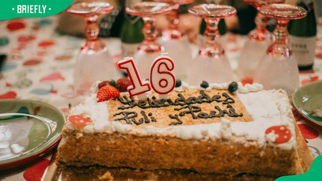 party cake with number 16 party cake with number 16