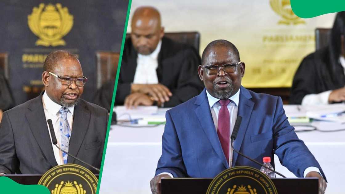 Enoch Godongwana speaking during the National Assembly meetings Enoch Godongwana speaking during the National Assembly meetings