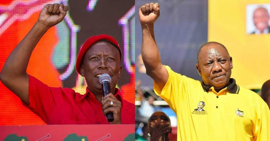 EFF, wants explanation, SANDF deployment, from Ramaphosa EFF, wants explanation, SANDF deployment, from Ramaphosa