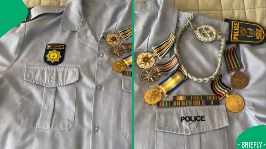 The visual on the right showed the badges Sebastian has earned throughout the years The visual on the right showed the badges Sebastian has earned throughout the years