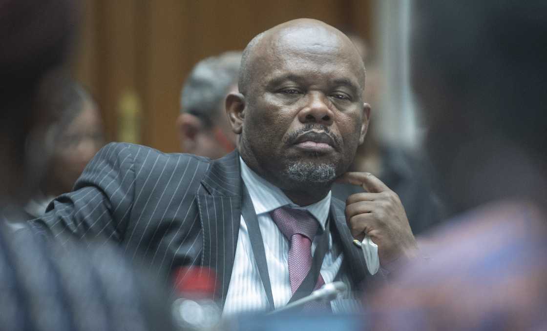Shadrack Sibiya was linked to KT Molefe