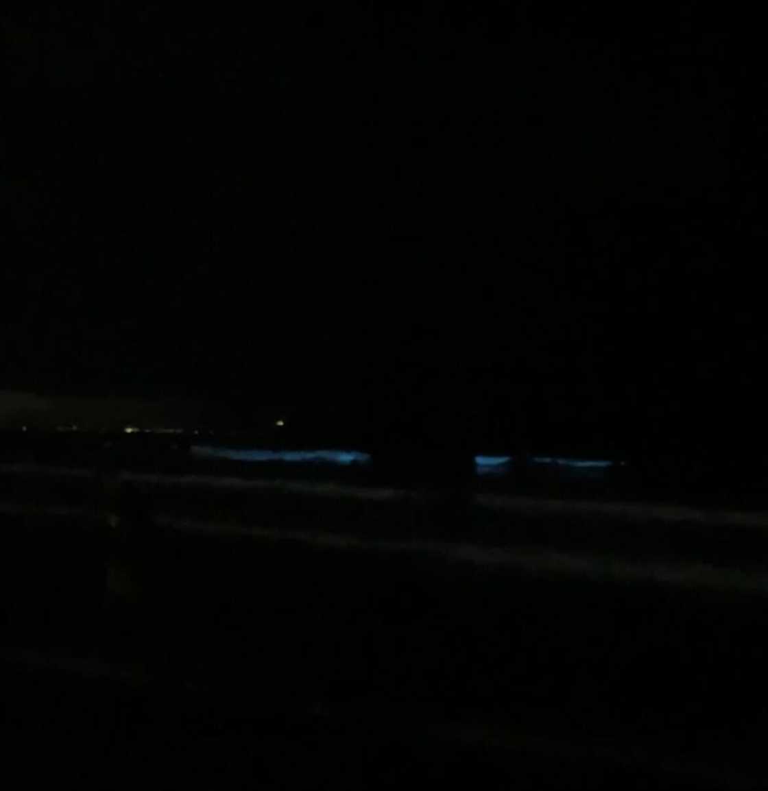 Cape Town beach was illuminated by bioluminescence at night, captivating a large crowd and leaving South African viewers in awe of the sea. Cape Town beach was illuminated by bioluminescence at night, captivating a large crowd and leaving South African viewers in awe of the sea.