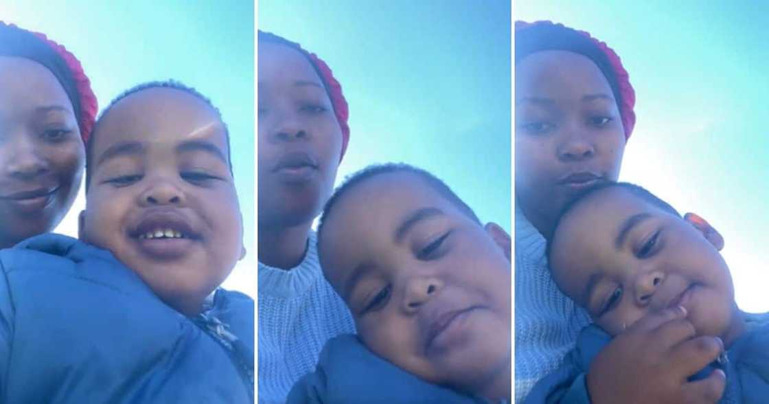 Phododo and his mom made a video and posted it on Twitter. Phododo and his mom made a video and posted it on Twitter.