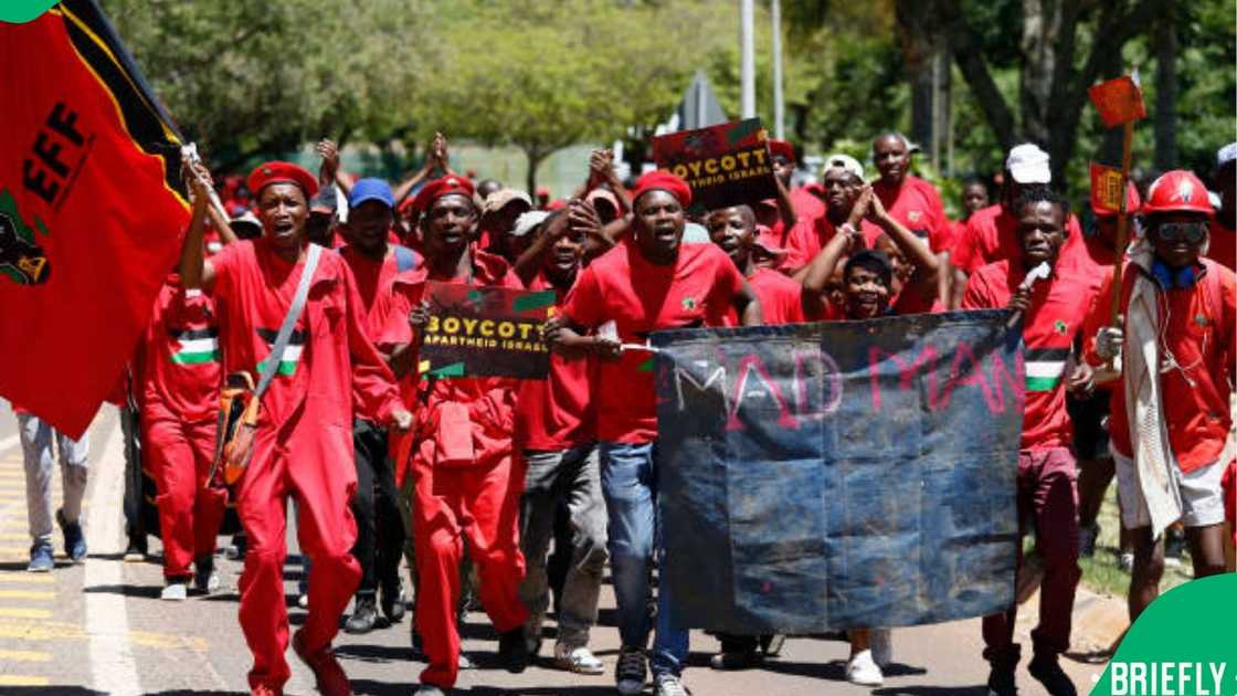 EFF supporters EFF supporters