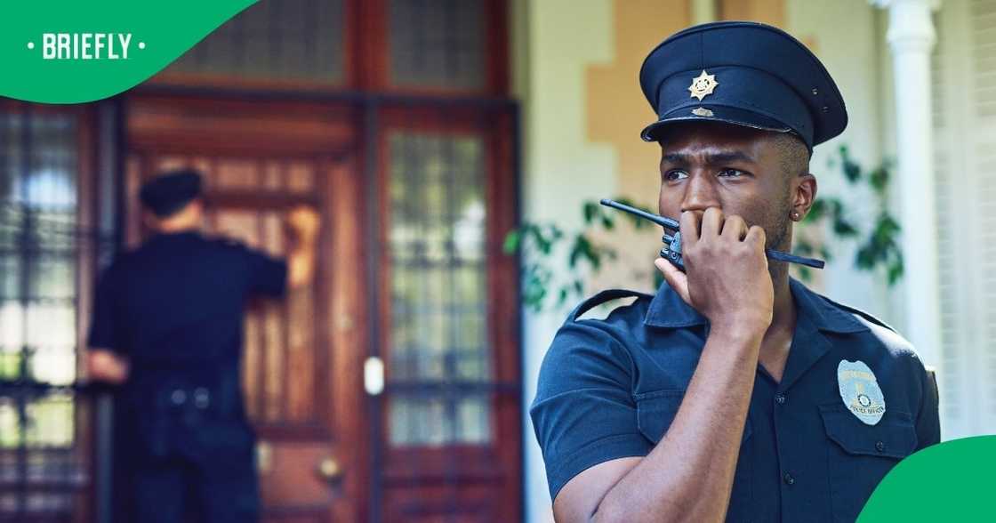 SA wowed by Mzansi laws SA wowed by Mzansi laws