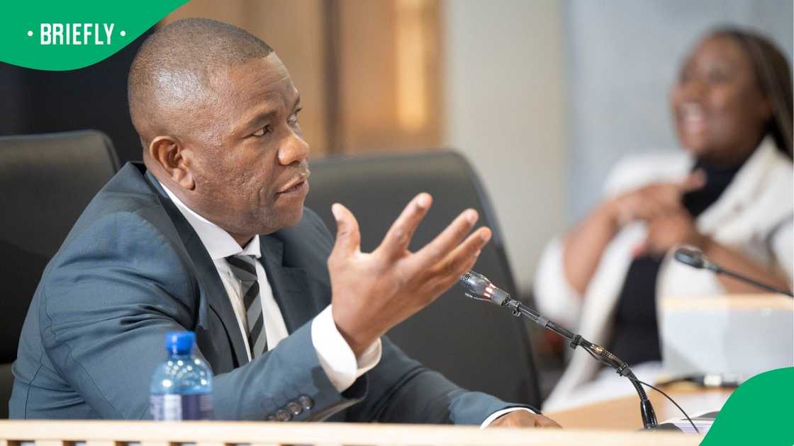Fannie Masemola's testimony follows on from Nhlanhla Mkhwanazi's explosive session
