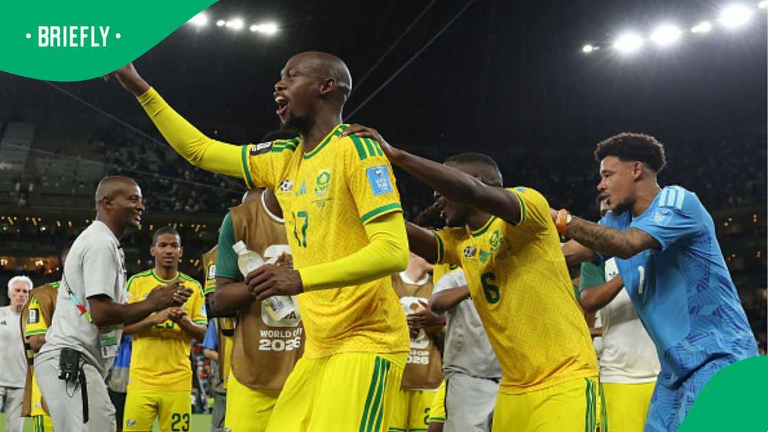 Bafana Bafana, South Africa, FIFA World Cup