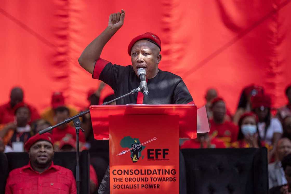 Julius Malema, EFF, Stellenbosch, Local government elections, wine farms Julius Malema, EFF, Stellenbosch, Local government elections, wine farms