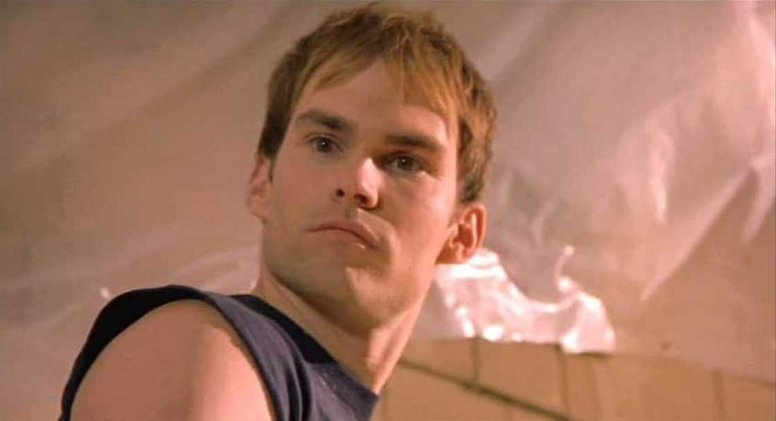 Seann William Scott of the American Pie Seann William Scott of the American Pie
