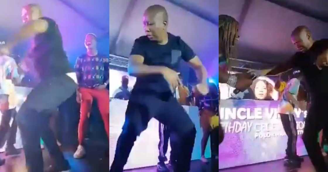 "Juju Is Wilding": Clip of Julius Malema Dancing Leaves SA Shaking