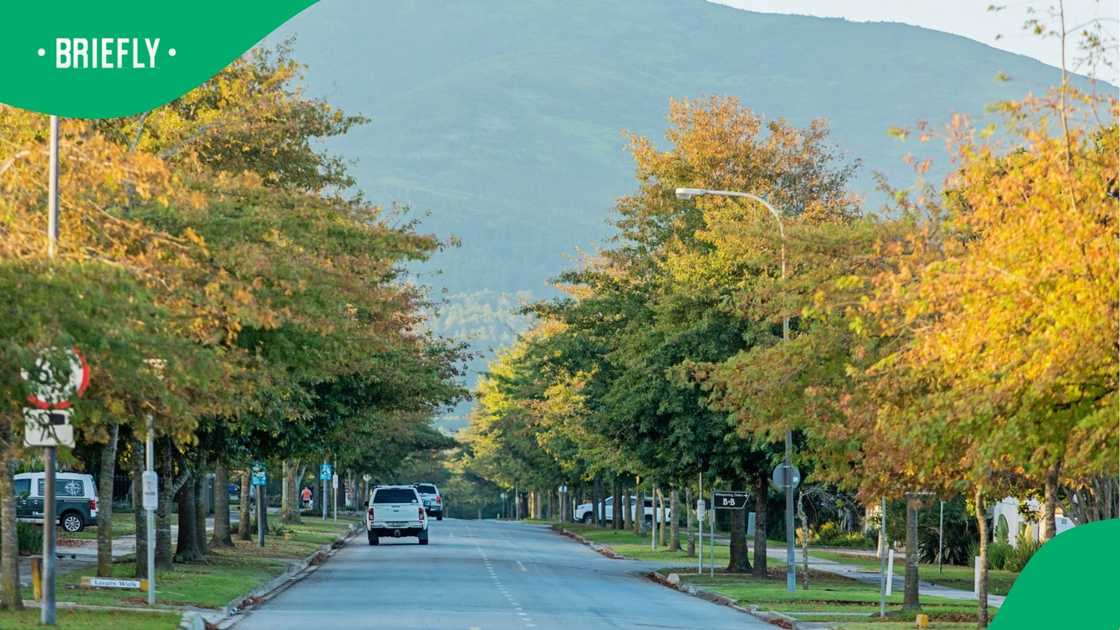 A residential area in George, Western Cape.