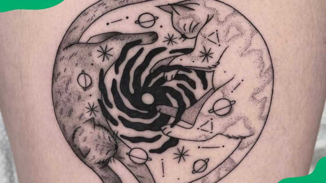 The spiral cat design The spiral cat design