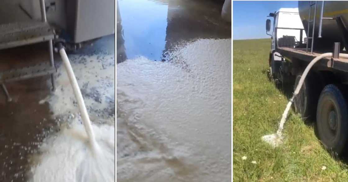 KZN farmer impacted by loadshedding KZN farmer impacted by loadshedding