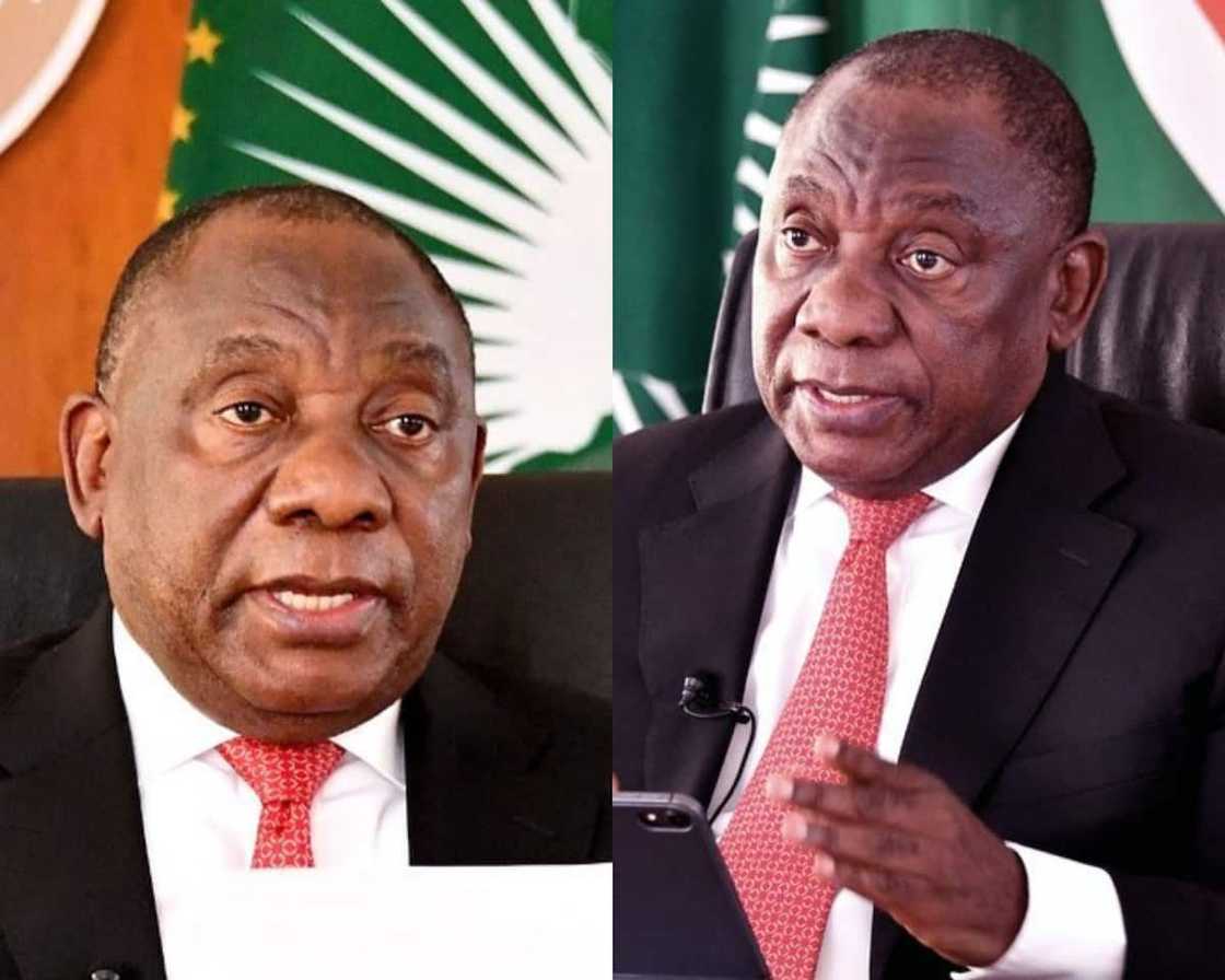 who is nomazizi mtshotshisa? who is nomazizi mtshotshisa?