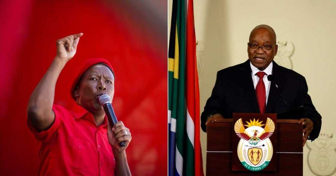 Jacob Zuma, President Zuma, Economic Freedom Fighters, EFF, politics, South Africa, court Jacob Zuma, President Zuma, Economic Freedom Fighters, EFF, politics, South Africa, court