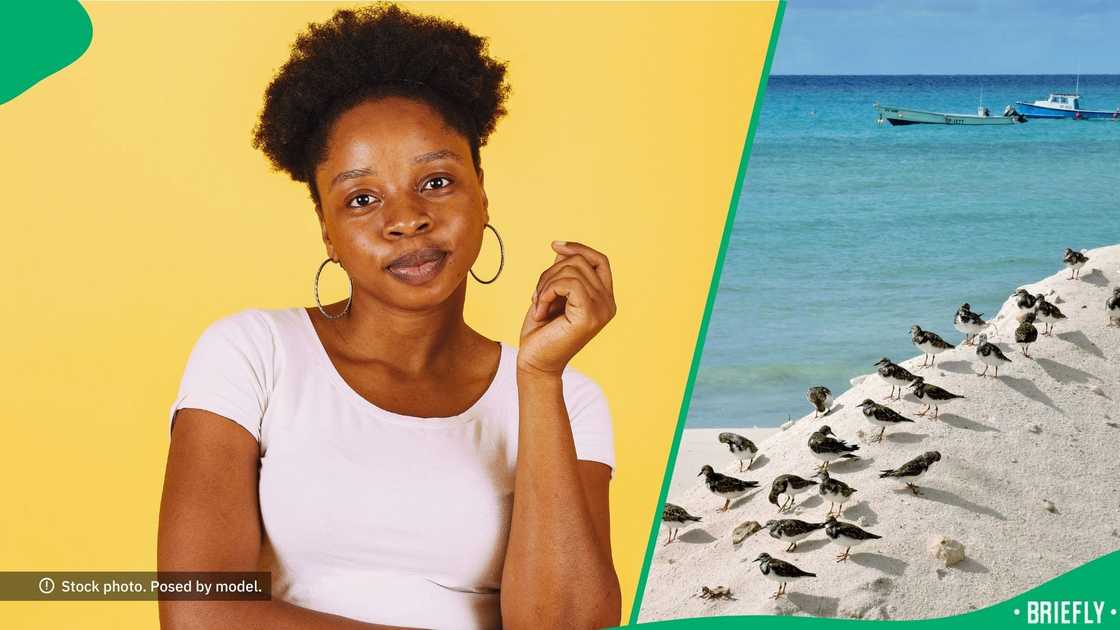 The role offers a significant monthly salary and free accommodation, but requires living in a remote, rugged environment