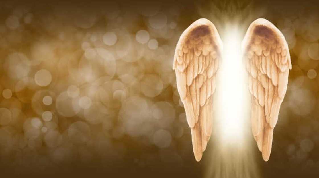 Angels are non-threatening and bring good luck Angels are non-threatening and bring good luck