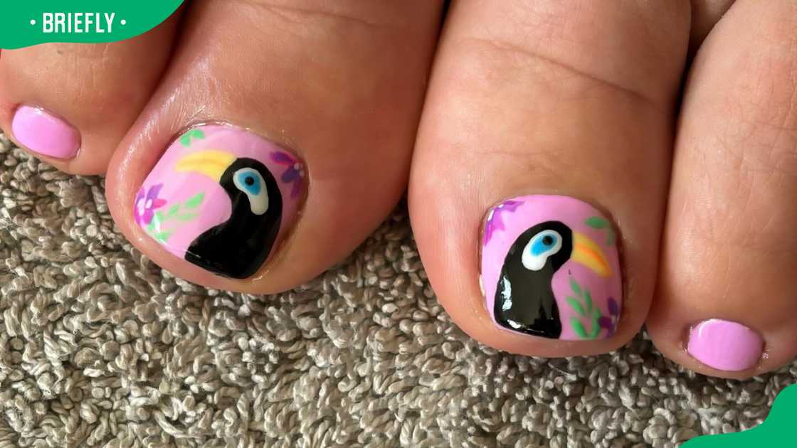 Tropical toucan summer toenail