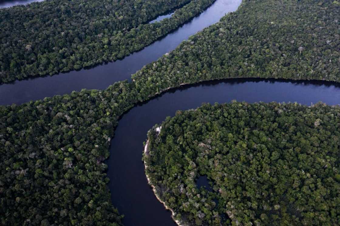 Money for Amazonian research has been dwindling Money for Amazonian research has been dwindling