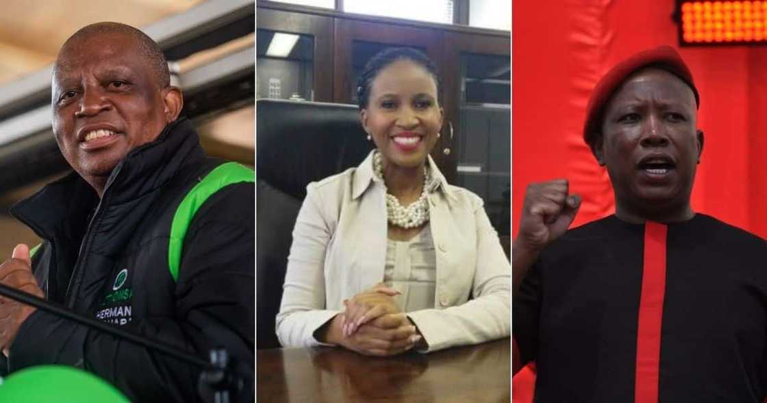 EFF, ActionSA, DA, Herman Mashaba, Julius Malema, Mpho Phalatse EFF, ActionSA, DA, Herman Mashaba, Julius Malema, Mpho Phalatse