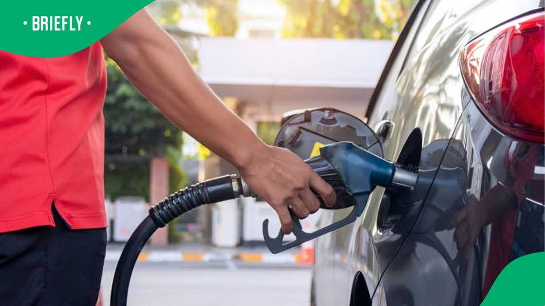 Data shows likely fuel cost increase for November after several consecutive cuts Data shows likely fuel cost increase for November after several consecutive cuts