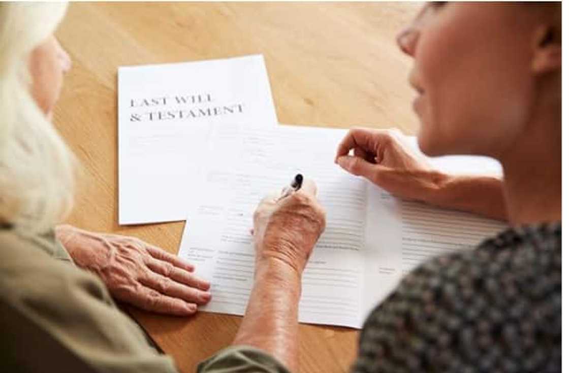download last will and testament template south africa