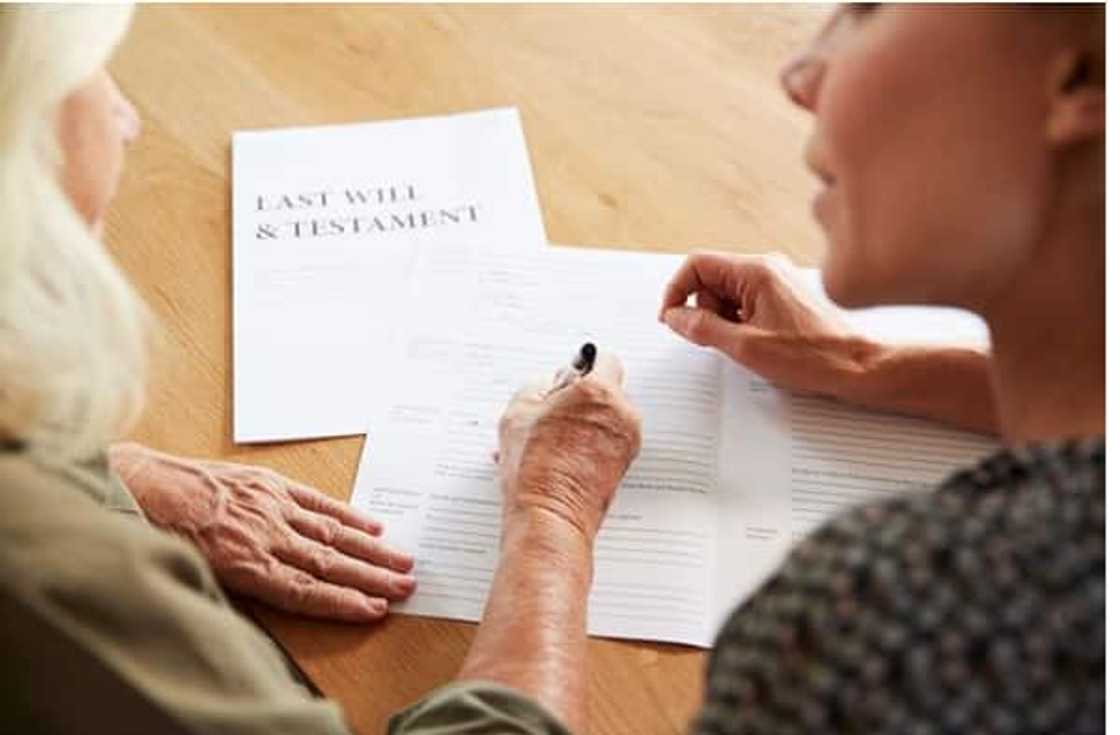 download last will and testament template south africa download last will and testament template south africa