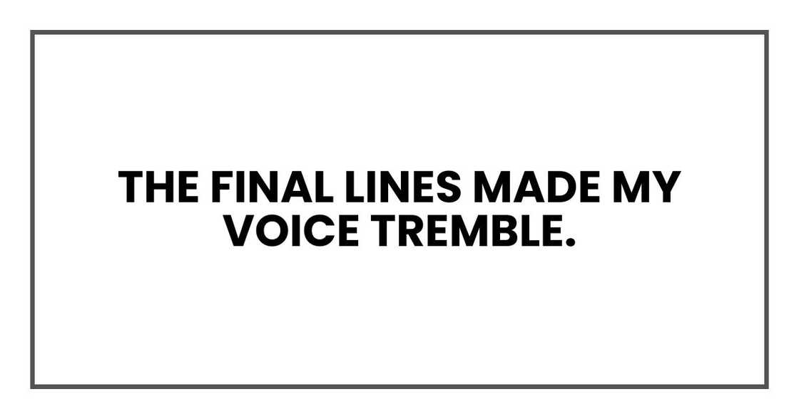 The final lines made my voice tremble. The final lines made my voice tremble.