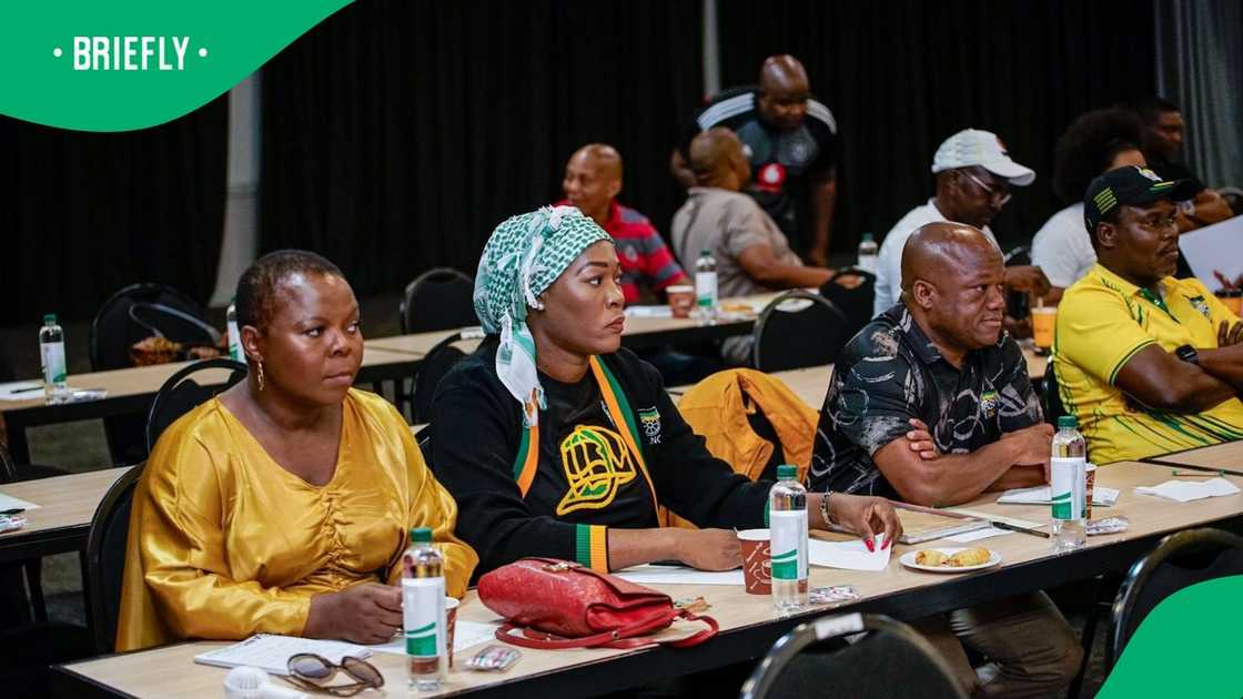 The ANC's NEC has decided to change GP and KZN's leadership