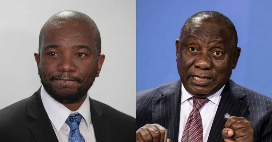Mmusi Maimane, Cyril Ramaphosa, Shirt, Stolen, Style, Social media reactions Mmusi Maimane, Cyril Ramaphosa, Shirt, Stolen, Style, Social media reactions