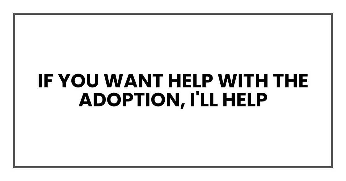 If you want help with the adoption, I'll help If you want help with the adoption, I'll help