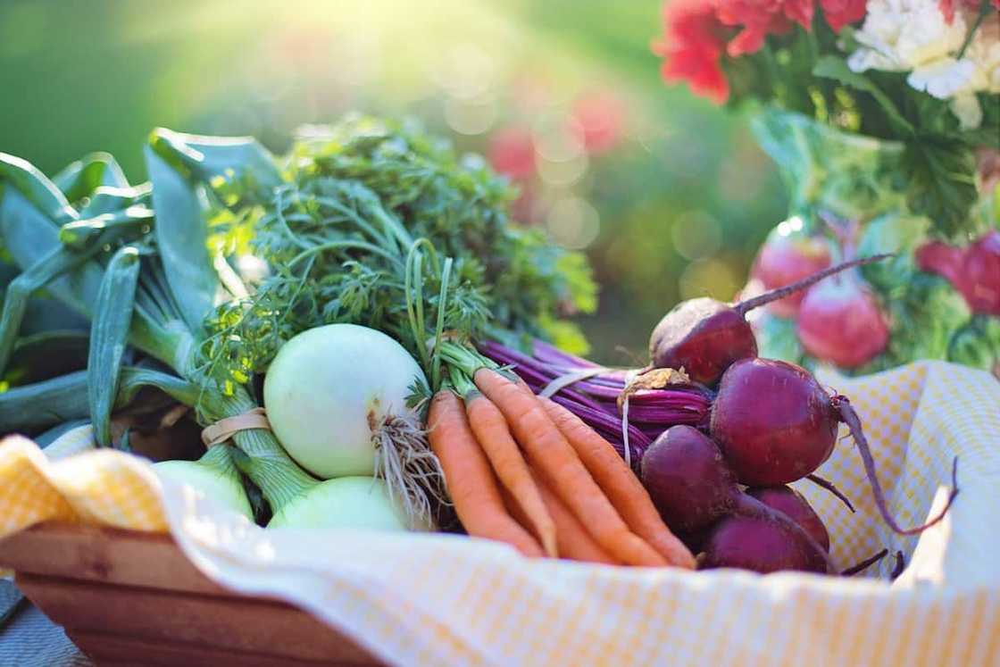 winter vegetables South Africa