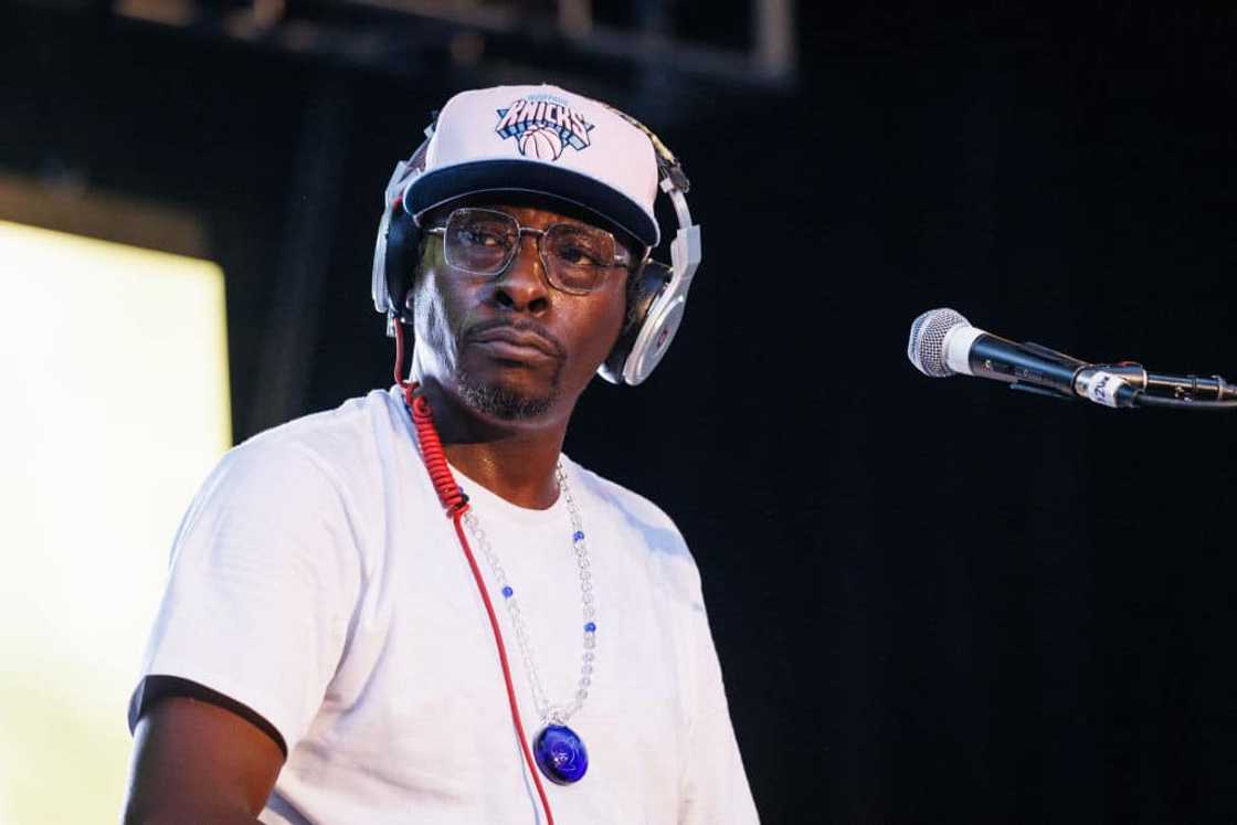 Pete Rock at the Grandmaster Flash & Friends "Birth Of A Culture: The 4 Elements Block Party"