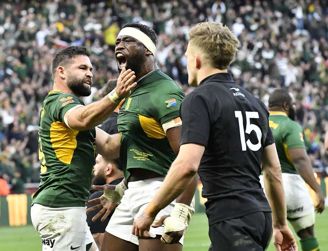 Siya Kolisi, South Africa, New Zealand.
