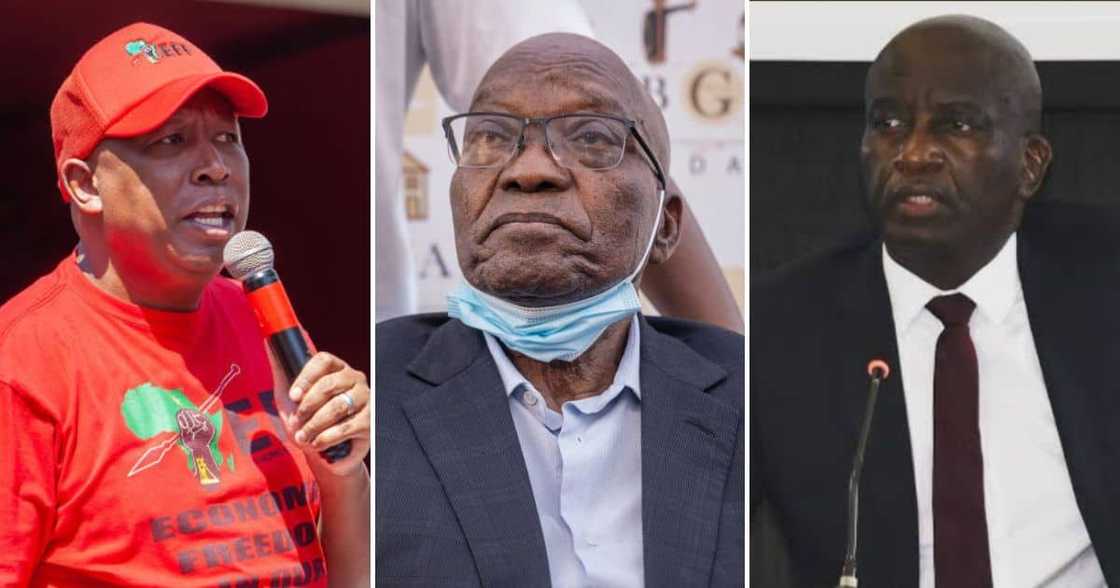 Julius Malema, Jacob Zuma and Judge Elias Motojane Julius Malema, Jacob Zuma and Judge Elias Motojane