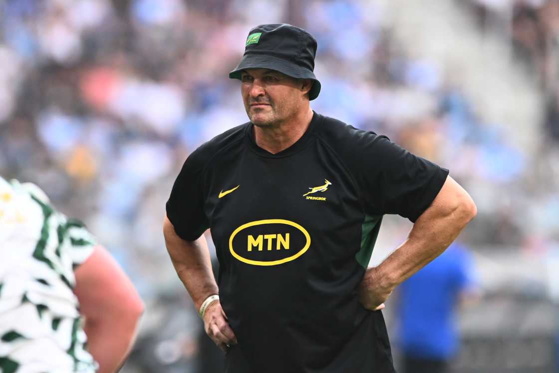 TikTok users praised Rassie Erasmus for being a good coach